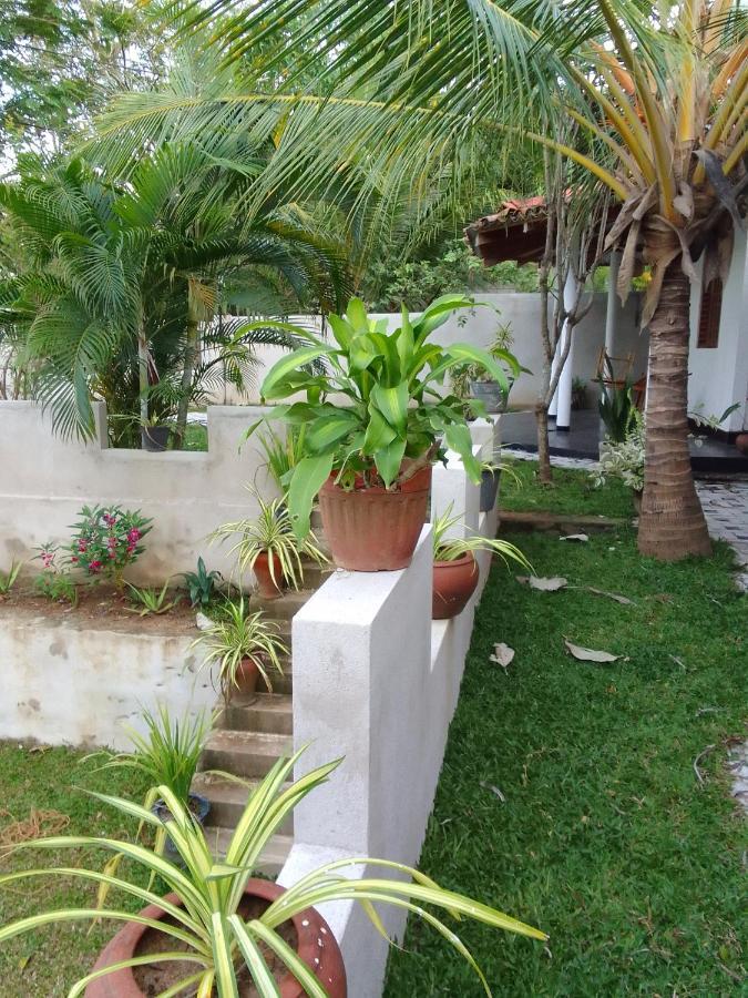 Bed and Breakfast Peacock Garden Tangalle Exterior foto